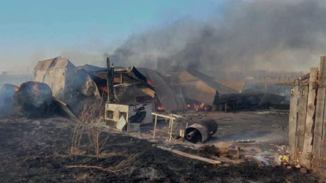 Фото со страницы в социальных сетях Елены Егоровой