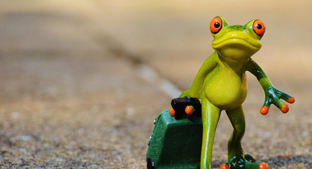 Изображение: pixabay.com