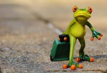 Изображение: pixabay.com