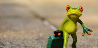 Изображение: pixabay.com