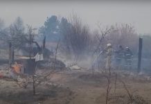 Кадр из оперативного видео ликвидации загорания на дачном обществе Подсинее