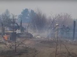 Кадр из оперативного видео ликвидации загорания на дачном обществе Подсинее