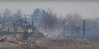 Кадр из оперативного видео ликвидации загорания на дачном обществе Подсинее