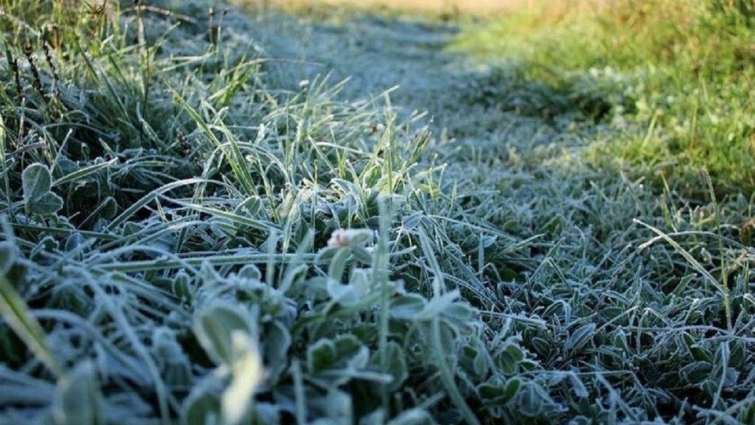 Фото: Управление по ГО, ЧС и пожарной безопасности РХ