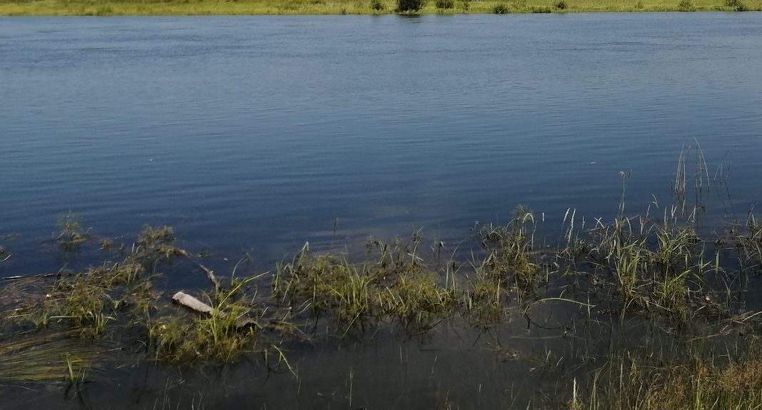 Фото: Абакан.рф Фото: Абакан.рф