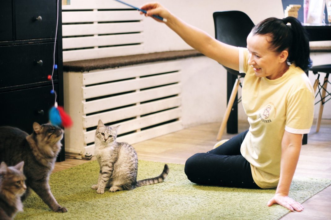 Фото: murchalkin.ru