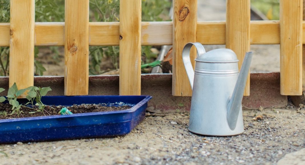 Дача, огород