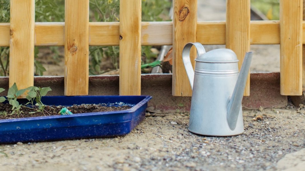 Дача, огород