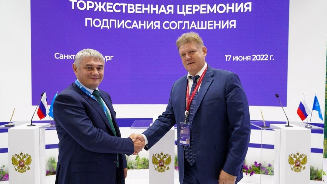 Фото предоставлено пресс-службой «Россети Сибирь»