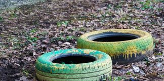 Изображение из фотобанка