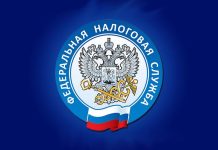 ФНС, Федеральная налоговая служба