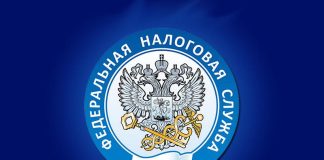 ФНС, Федеральная налоговая служба