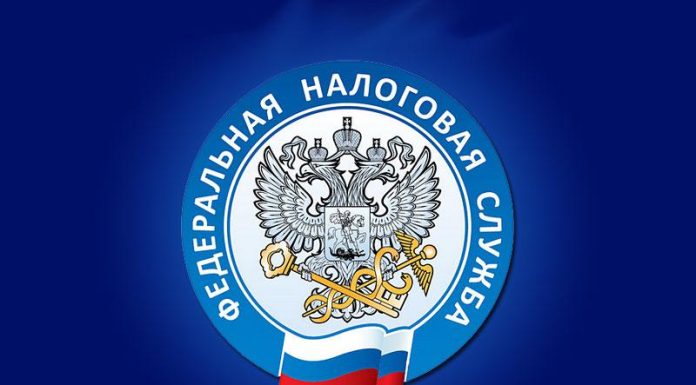 ФНС, Федеральная налоговая служба