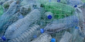 Частная инициатива по сбору пластика в Хакасии не дожила до светлого будущего Пластиковые бутылки