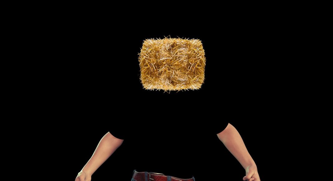 Соломенная голова