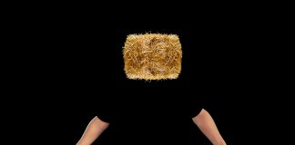 Соломенная голова