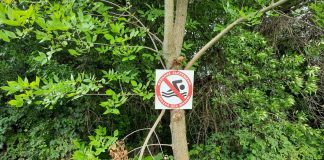 Купание запрещено, купаться нельзя