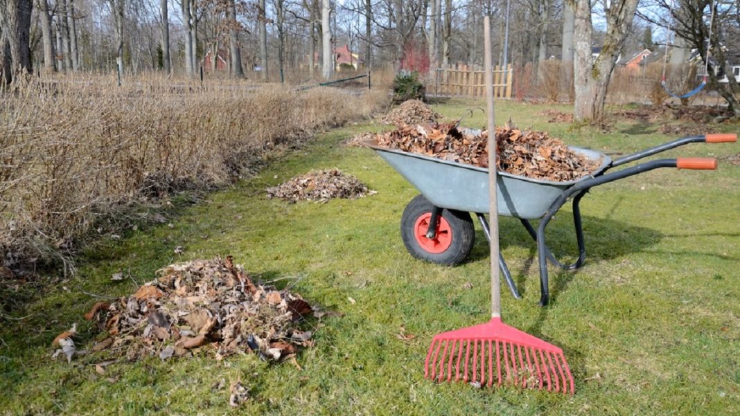 Фото: Управление по ГО, ЧС и пожарной безопасности РХ