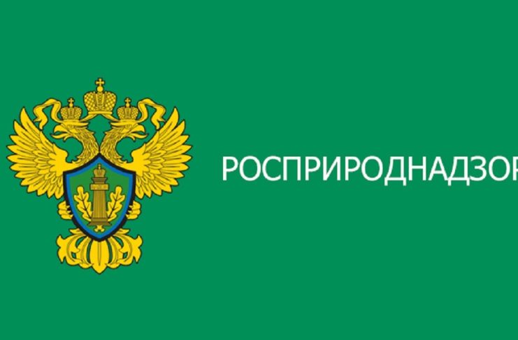 Утилизаторы проигнорировали требования Росприроднадзора Росприроднадзор