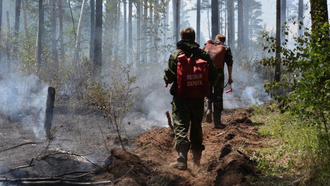 Фото: Управление по ГО, ЧС и пожарной безопасности РХ