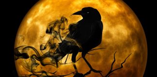 Темные дела. Изображение из фотобанка