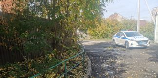 Фото ГИБДД