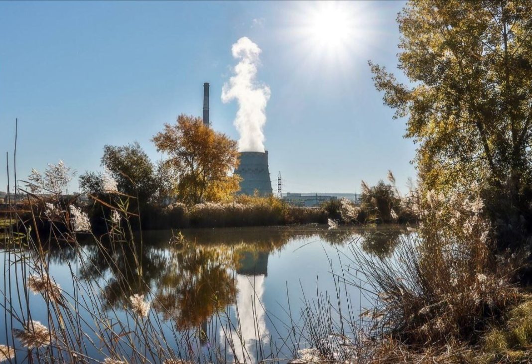 Фото из телеграм-канала СГК