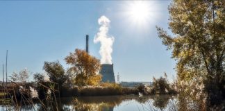 Фото из телеграм-канала СГК