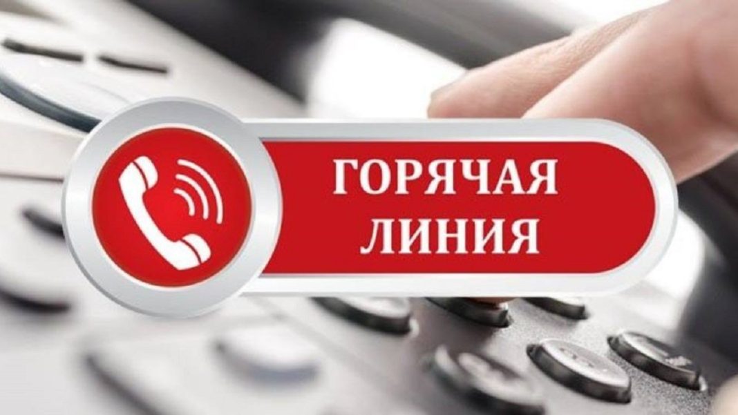 Фото из телеграм-канала Елены Егоровой