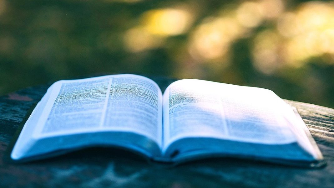 Фото: duma.gov.ru