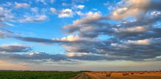 сельское хозяйство