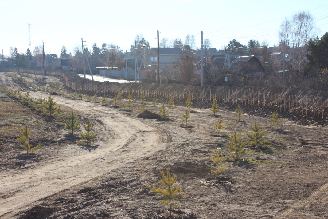 Фото: Абакан.рф