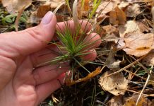 Фото пресс-службы Минприроды РХ