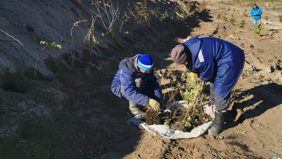 Фото Администрации Абакана
