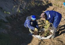 Фото Администрации Абакана