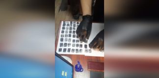 Кадр съемки МВД
