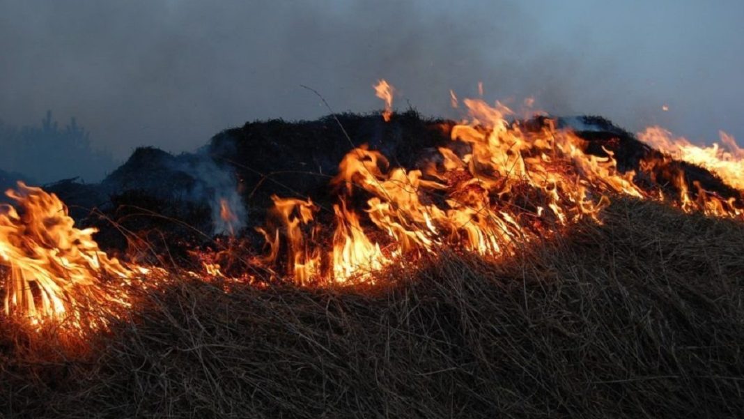 Фото Управления по ГО, ЧС и пожарной безопасности РХ Фото Управления по ГО, ЧС и пожарной безопасности РХ