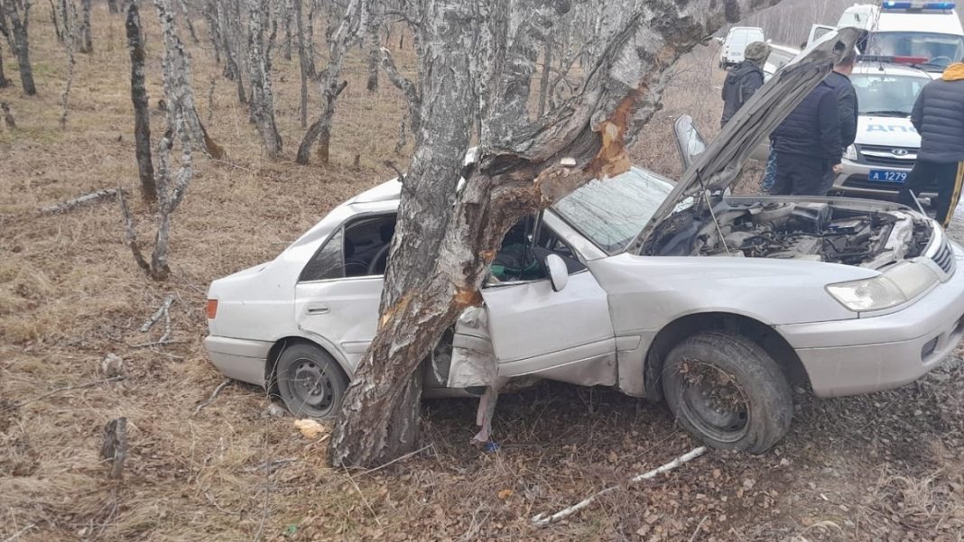 Фото: 19.мвд.рф Фото: 19.мвд.рф