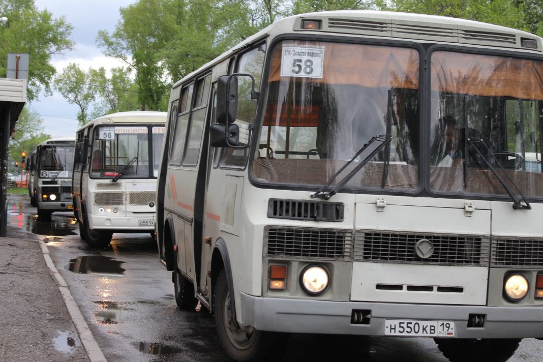 Автобусы