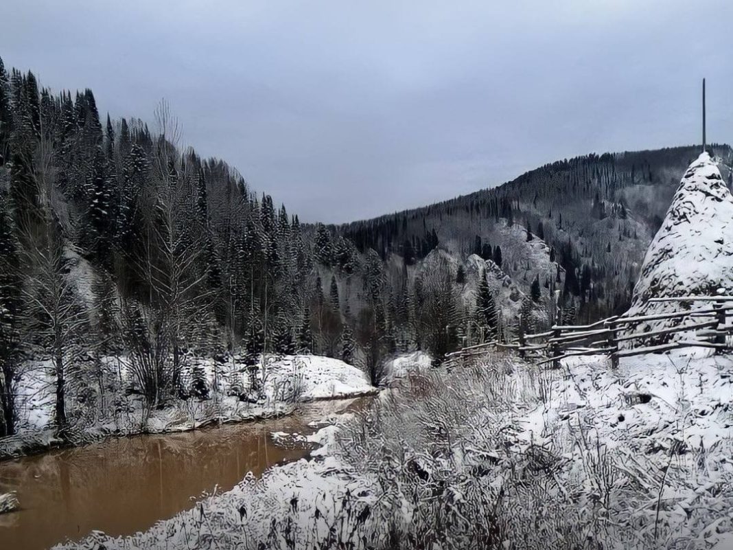 Фото из телеграм-канала Светланы Радионовой