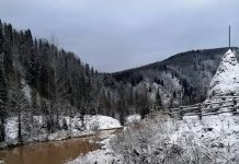 Фото из телеграм-канала Светланы Радионовой