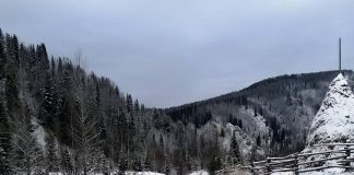 Фото из телеграм-канала Светланы Радионовой