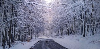 Зима, дорога, снег