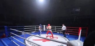Кикбоксинг