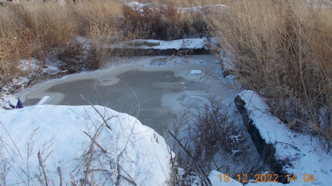 Фото Управления Россельхознадзора по Республикам Хакасия и Тыва и Кемеровской области — Кузбассу