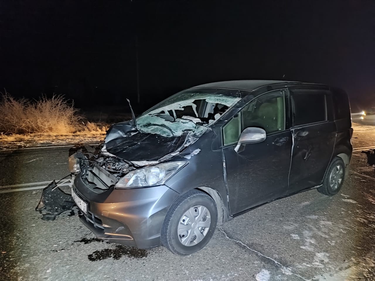 В Хакасии произошло очередное ДТП из-за лошади на дороге - Пульс Хакасии