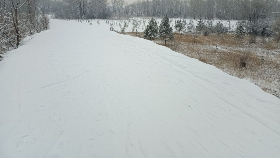 Фото Администрации Абакана