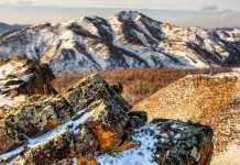 Фото предоставлено Национальным центром народного творчества имени С.П. Кадышева