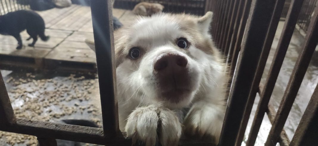 Фото: Абакан.рф Фото: Абакан.рф