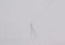 Фото предоставлено пресс-службой «Россети Сибирь»